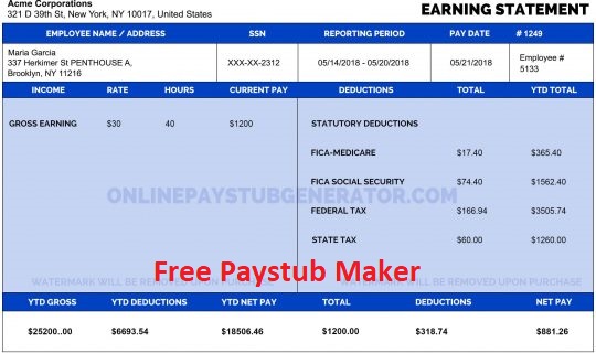 free paystub maker